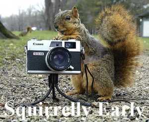 Squirrelly Early - 02 - 3an3c3s 7EW PCX