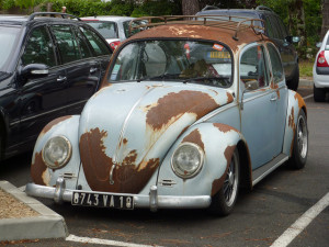 rusty-Beetle-300x225